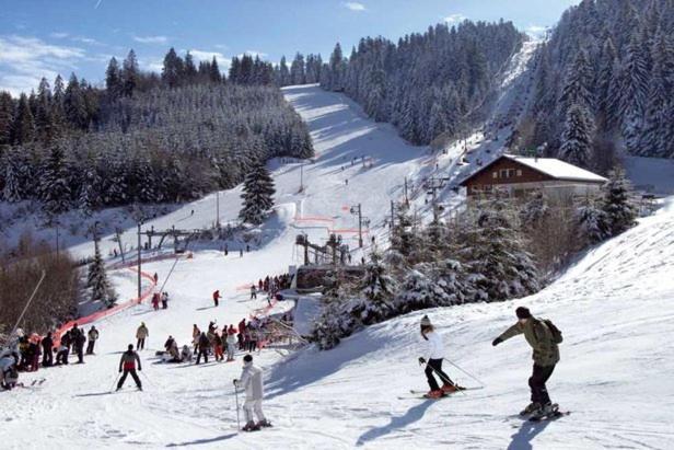 Apartment Gite Les Glycines